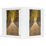 Golden Path Binder