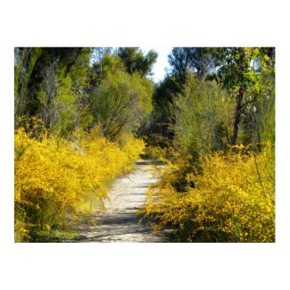Golden Path