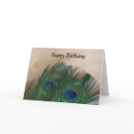 Golden Peacock Feathers Card