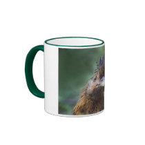 Golden Polish Hen mugs by wildlifehotspots Golden Polish Hen mugs