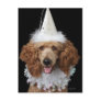 Golden Poodle Dog wearing a white clown costume Postcard