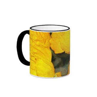 Golden Poppies Ringer Mug mug