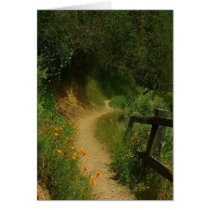 Golden Poppy Greeting Cards