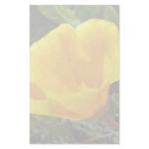 Golden Poppy Stationery by dlgray Golden Poppy Stationery