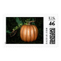 Golden Pumpkin postage by bonnievoyage Golden Pumpkin postage