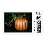 Golden Pumpkin Stamps