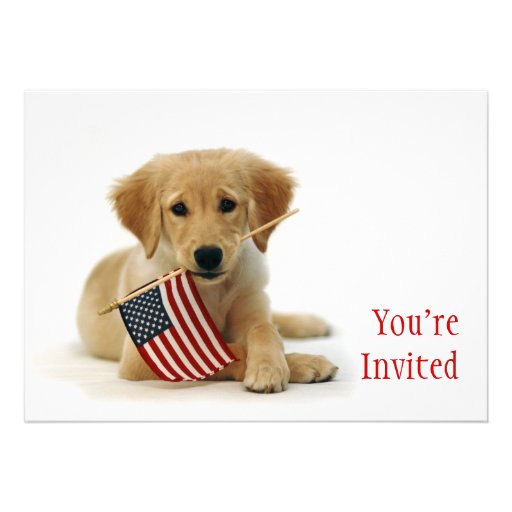 Golden Puppy and American Flag Custom Announcement