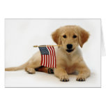 Golden Puppy and American Flag Greeting Cards