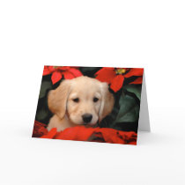 Golden Puppy and Poinsetta Christmas Card