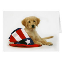 Golden Puppy and Uncle Sam Hat Greeting Cards