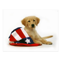 Golden Puppy and Uncle Sam Hat Postcards
