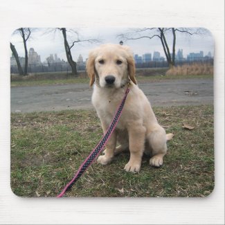 Golden Puppy by The Reservoir Mousepad mousepad