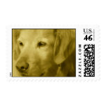 Golden Puppy  Postage Stamp
