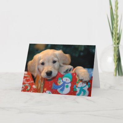 Golden Puppy Present Christmas Card