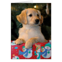 Golden Puppy Present Christmas Card