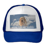 Golden Pups Hat Are Heavenly