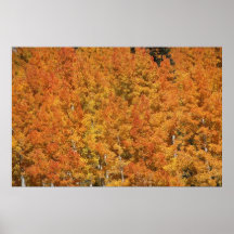 Golden red Indian Summer Print