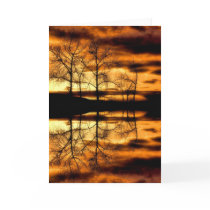 Golden Reflections Card