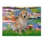 Golden Retriever #10 - Lilies #2 Post Cards