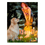 Golden Retriever 11 - Mid Eve Post Card