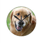golden-retriever-31 wall clocks