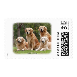 Golden Retriever 9Y180D-149 stamp