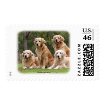 Golden Retriever 9Y180D-149 postage