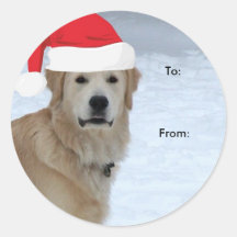 Golden retriever a/desde los pegatinas del navidad