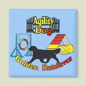 Golden Retriever Agility Dog Gifts Magnets