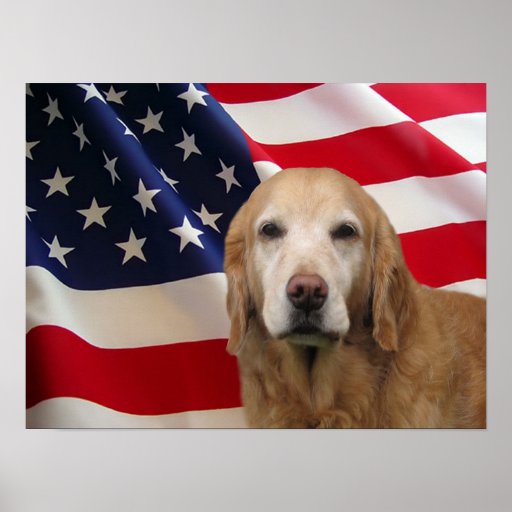 golden retriever flags golden retriever american flag print zazzle golden retriever flags golden retriever american flag print zazzle