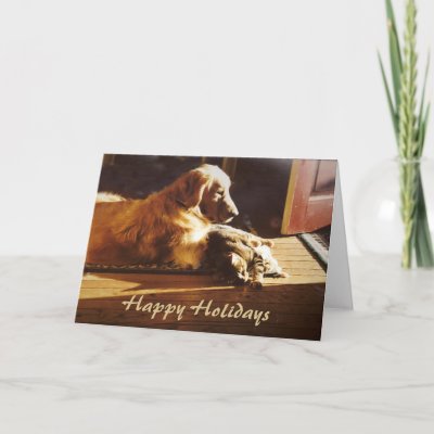 Golden Retriever and Cat Christmas Card