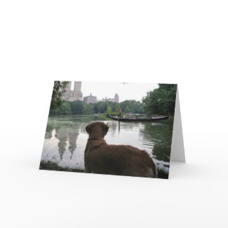 Golden Retriever dog watches a gondola and gondolier on The Lake in Central Park in New York City NYC greeting card