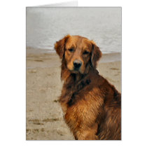 Golden Retriever  Art Gifts cards