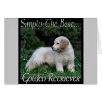 Golden Retriever Art Gifts cards