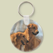 Golden Retriever Art Gifts