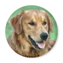 Golden Retriever Art Gifts magnets