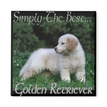 Golden Retriever Art Gifts magnets