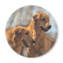 Golden Retriever Art Gifts magnets