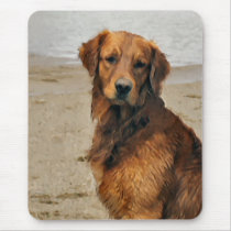 Golden Retriever  Art Gifts mousepads