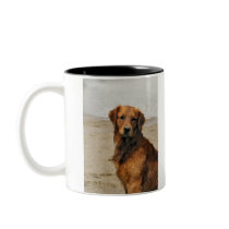 Golden Retriever  Art Gifts mugs