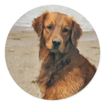Golden Retriever  Art Gifts stickers