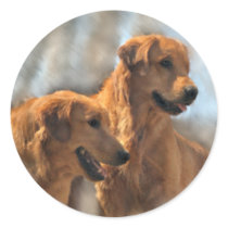 Golden Retriever Art Gifts stickers