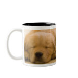 Golden Retriever Babies Coffee Mugs