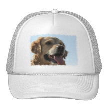 Golden Retriever Baseball Hat