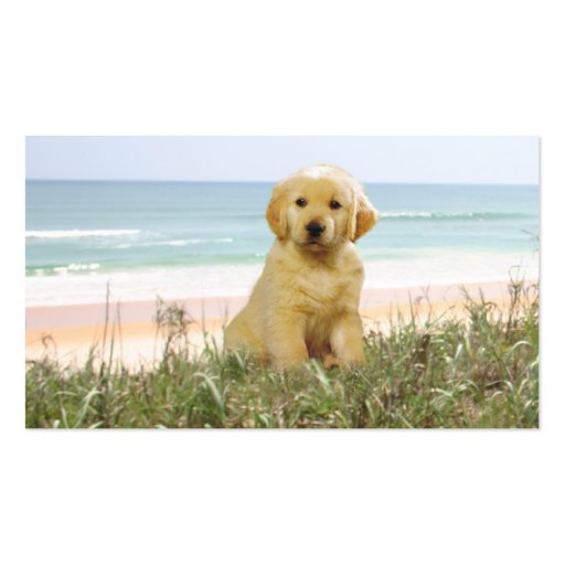 Golden Retriever Beach Grass Breeder Business Card