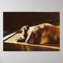 Golden Retriever Best Buddies Poster