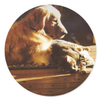 Golden Retriever Best Friends Sticker by normagolden Golden Retriever Best Friends Sticker