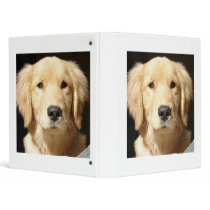 Golden Retriever binders by Incatneato Golden Retriever binders