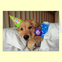 Golden Retriever Birthday Card cards