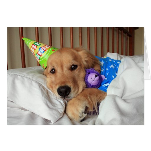 golden retriever birthday sleepy golden retriever in pajamas birthday greeting card zazzle golden retriever birthday sleepy golden retriever in pajamas birthday greeting card zazzle